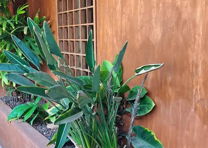 Apartment Casa Bartoli